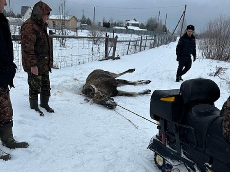 Пятеро нижегородцев оштрафованы на миллион за браконьерство