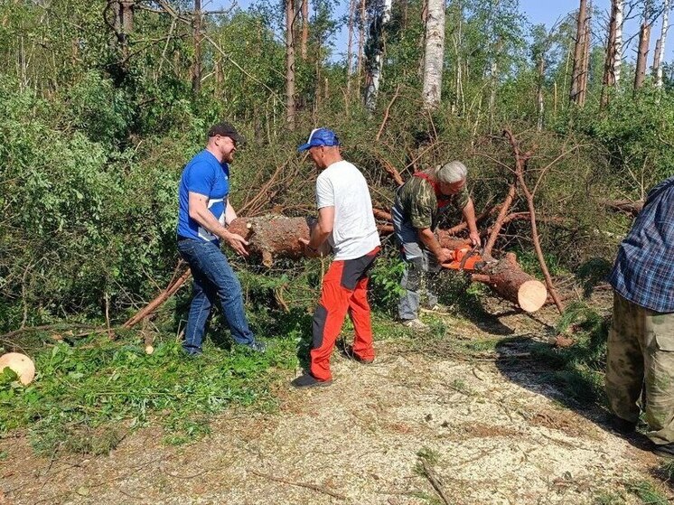 Волонтеры «Единой России» помогают устранять последствия стихии в Великолукском районе