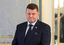 Экс-главком ВСУ, посол Украины в Великобритании Валерий Залужный в статье в издании "Украинская правда" попросил Соединенные Штаты передать устаревшие ракеты, которые подлежат списанию