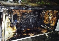 В одном из многоквартирных домов Сызрани на первом этаже случился пожар