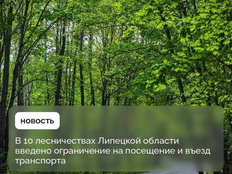 Ограничение на посещение лесов вводится в Липецкой области