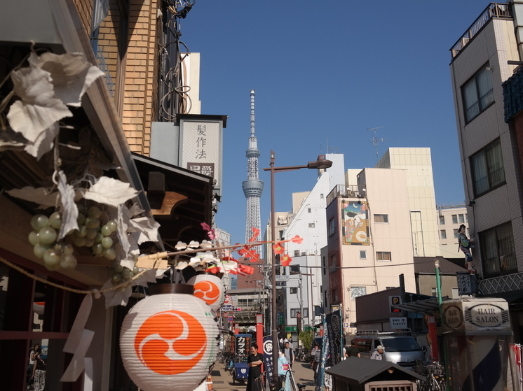 SCMP: в Японии заработал сервис по аренде бабушки