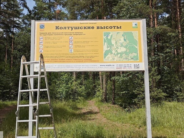 На ООПТ Ленобласти начали обновлять беседки, скамейки и указатели