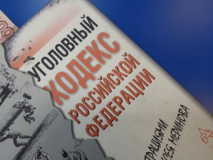 Адвокат избитой в Саратове девочки: «Будем добиваться ужесточения приговора»