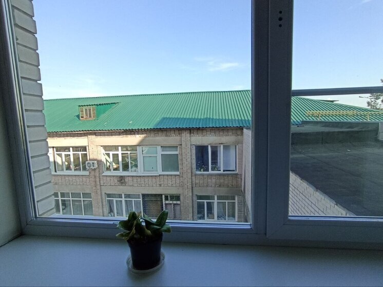 В Черняховской инфекционной больнице запланировали благоустройство территории