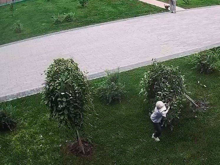 В Воронеже безнадзорные шалости превращают придомовую территорию в зону бедствия