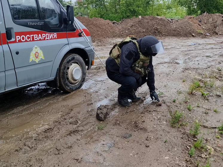 Псковские сотрудники ОМОН обезвредили боеприпас времён Великой Отечественной войны