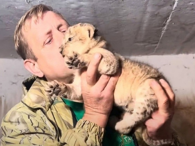 Олег Зубков заявил, что популяцию хищников в «Тайгане» не будут расширять