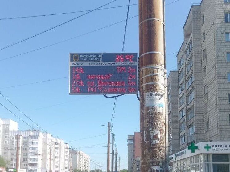 После грозы в Кострому пришло настоящее лето