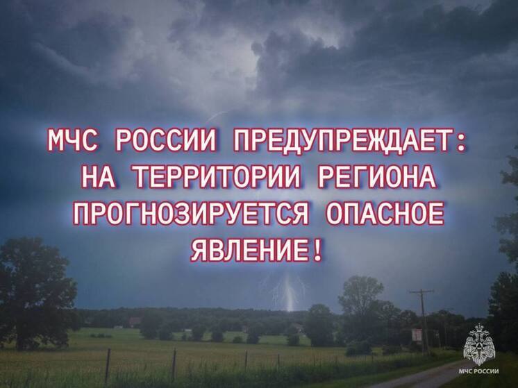 "Сдует всех": ветер скоростью 27 км в час идет на Псковскую область