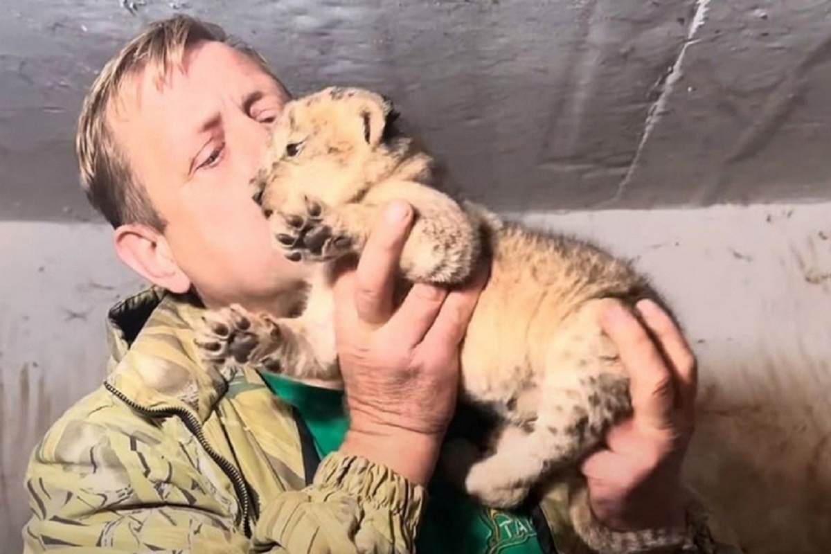 Олег Зубков заявил, что популяцию хищников в «Тайгане» не будут расширять