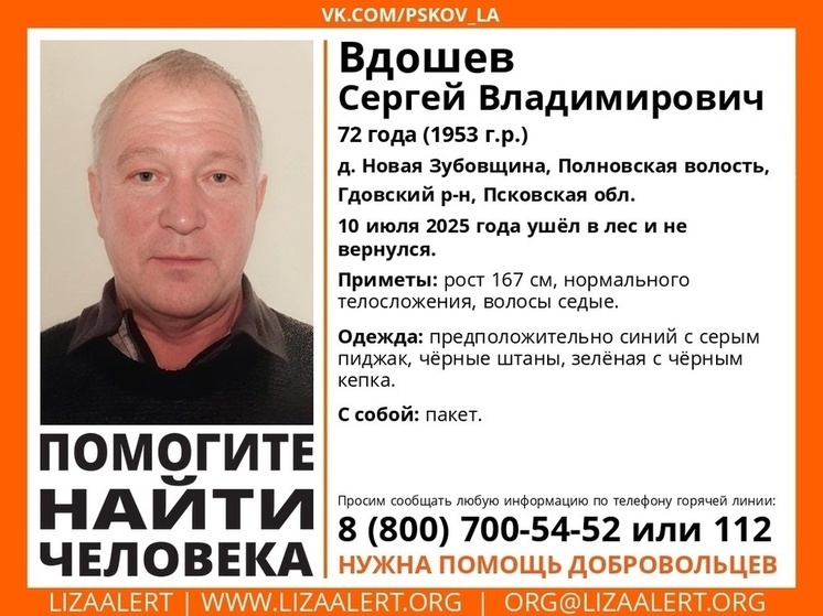 В Гдовском районе пропал пожилой мужчина