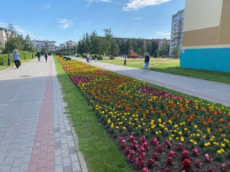 Нефтеюганск расцвел: город украсили 147 тысяч цветов