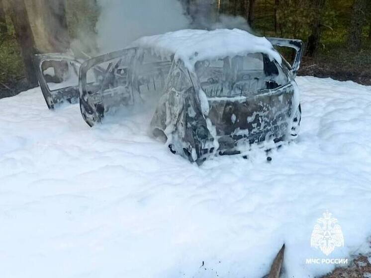 В Тверской области на дороге сгорел автомобиль
