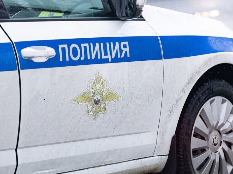 В Приозерском районе в ДТП с большегрузом погиб водитель «Ауди»