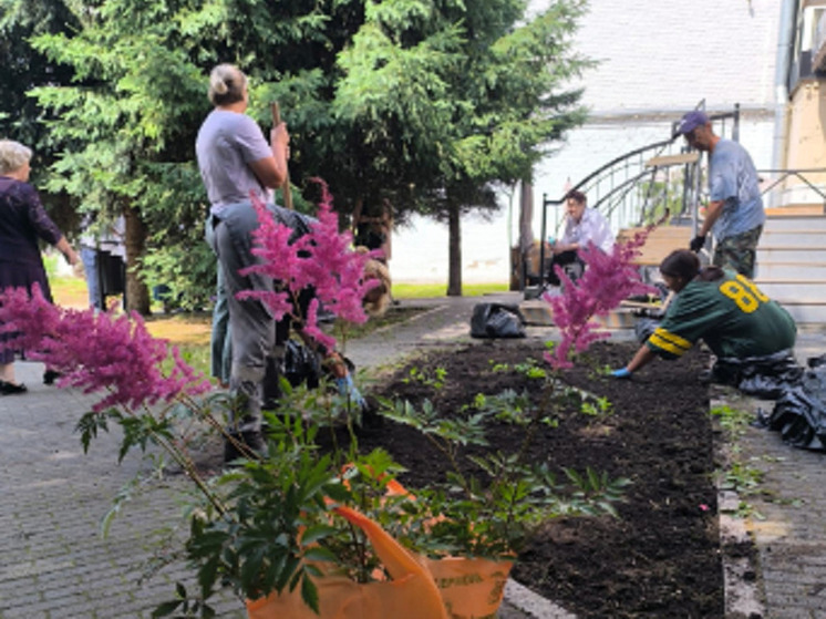 В сквере Пушкина в Туле расцвели новые многолетники