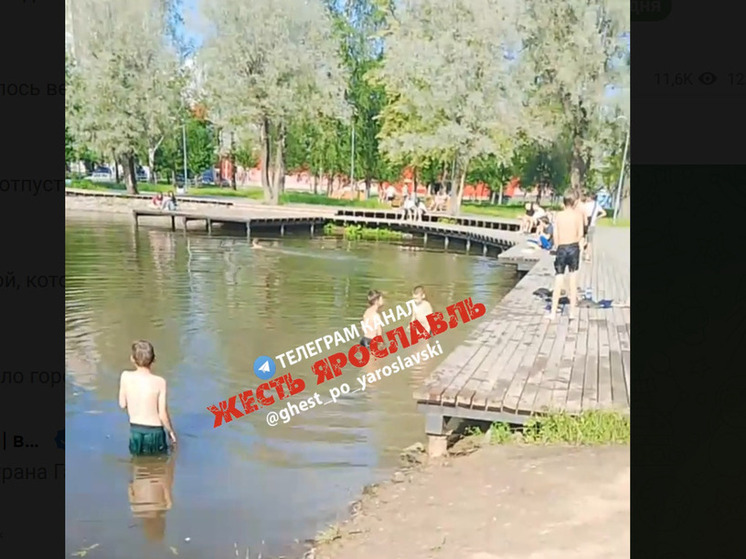 Жителей Брагино в Ярославле попросили не пускать детей купаться в пруду