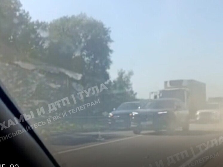 Два человека пострадали в ДТП с автоледи на М-2 под Тулой