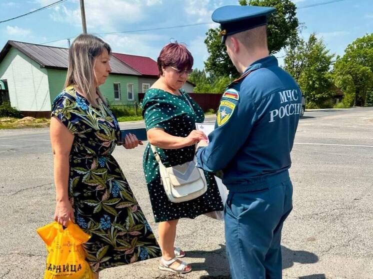 Профилактический рейд МЧС прошел в Великолукском районе