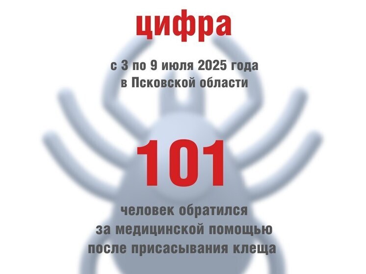 Псковичам рассказали, как обстоит ситуация с клещами в Псковской области