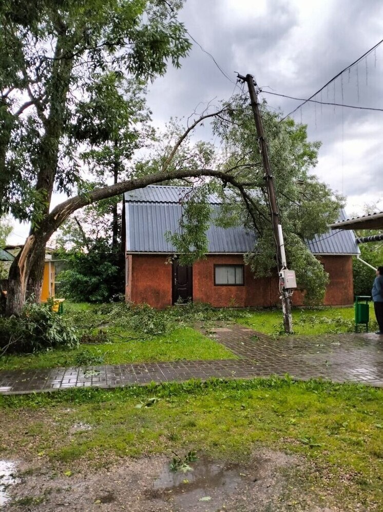 Вера Кондратьева рассказала о последствиях шторма в Пыталовском округе