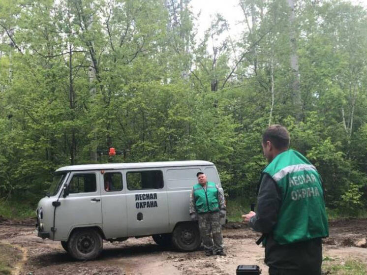 В Хабаровском крае нашли 131 нарушение лесного законодательства