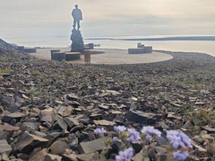 В субботу на побережье Восточно-Сибирского моря ожидается ветер до 27 м/с