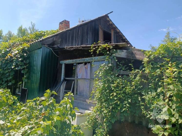 Недетские игры: в ЕАО трехлетний малыш сжег дом родителей