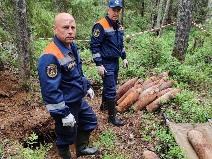 Арсенал времен ВОВ обезвредили в Кондопожском районе