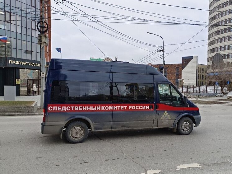 На Алтае больше года ищут пропавшую девушку. Бастрыкин поручил доложить о расследовании дела