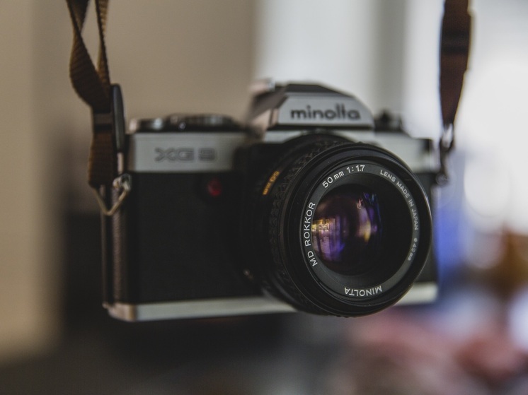 В зоосаде Хабаровска проходит конкурс фотографии диких животных