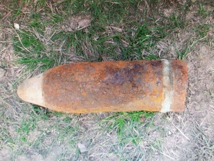 В Брянском районе нашли и обезвредили артснаряд