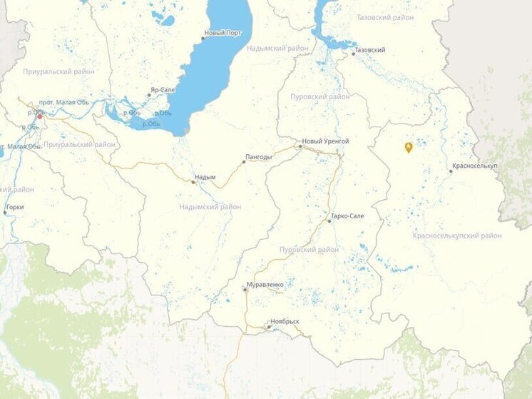 Лесной пожар на 30 га тушат в Красноселькупском районе