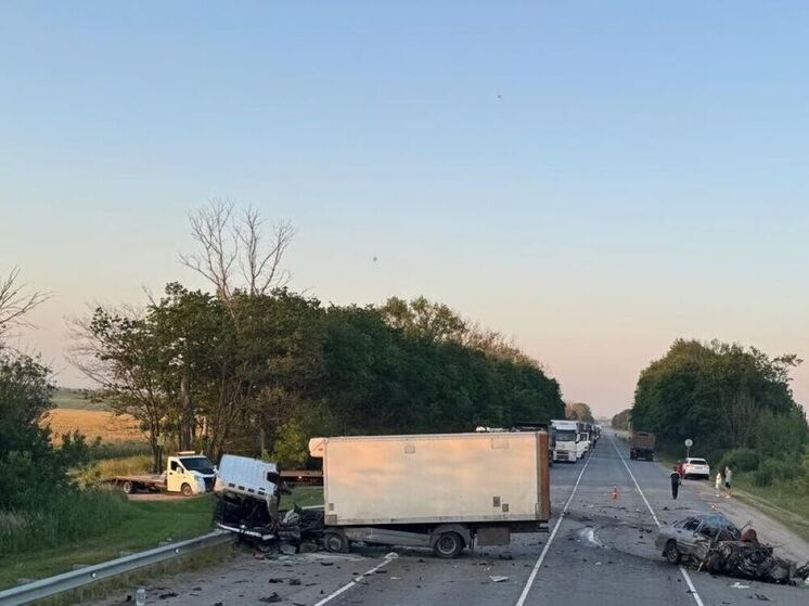 Женщина и ее 5-летний ребенок погибли в жуткой аварии в Воскресенском округе