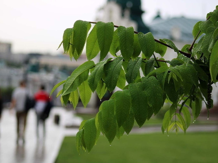 Vilfand: Up to 20% of monthly precipitation will fall in Moscow on July 14 and 15