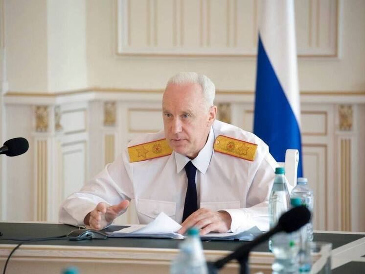 Бастрыкин заинтересовался смертельной аварией в ДНР