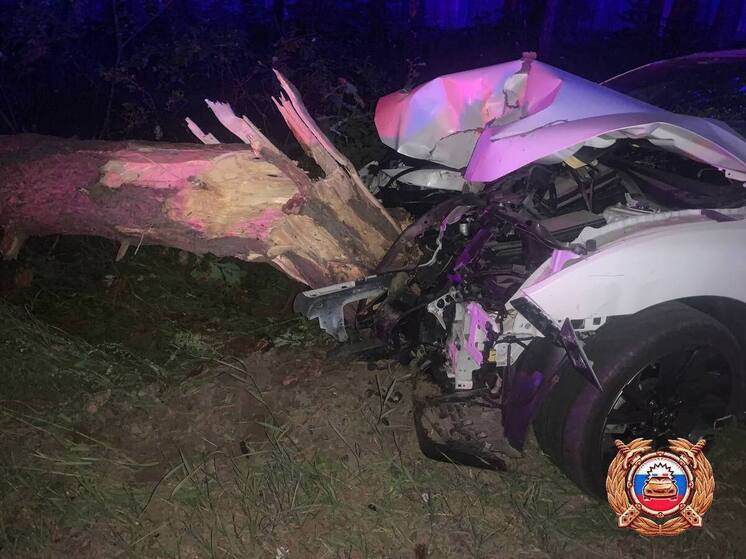 Пьяный водитель влетел в дерево на Рябеевском шоссе в Твери
