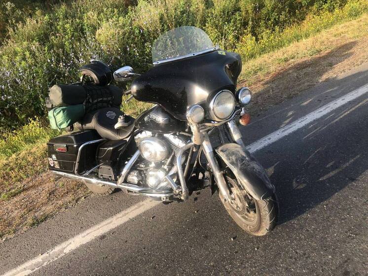 На Ставрополье мотоциклист сбил кабана