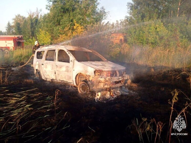 В Донском по неизвестным причинам сгорел автомобиль, похожий на "Ларгус"