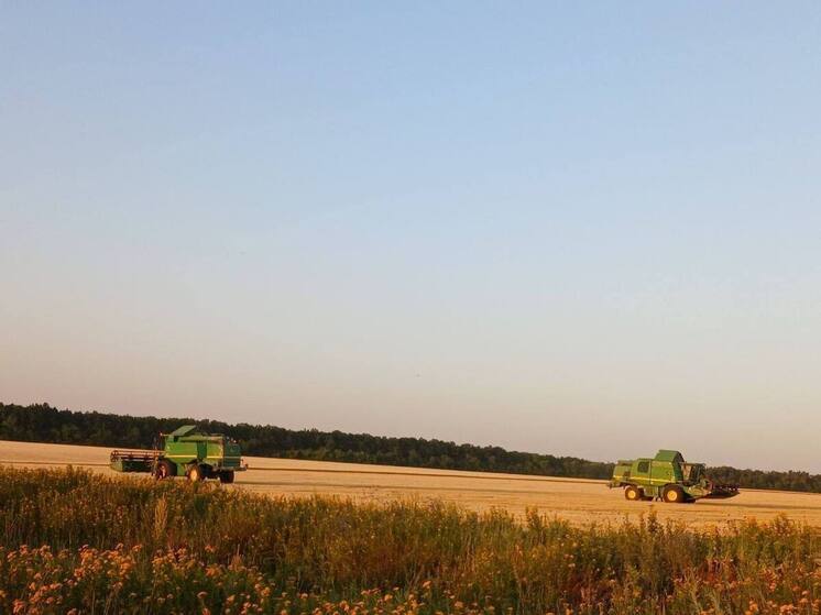 В Шахтерском МО началась уборочная кампания