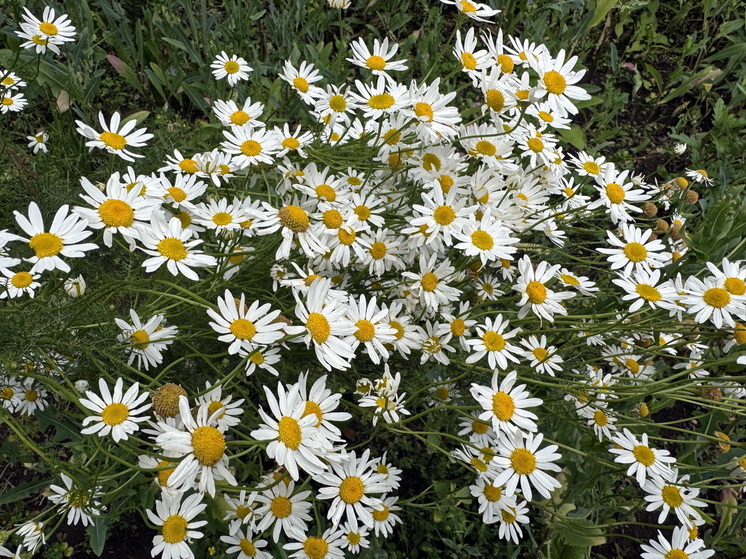 Психологи объяснили важность "микро-актов радости"