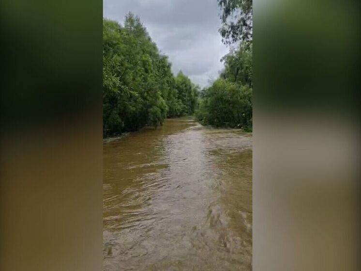 Селевые потоки и разлившиеся реки блокировали дороги в Шерегеше и Таштаголе