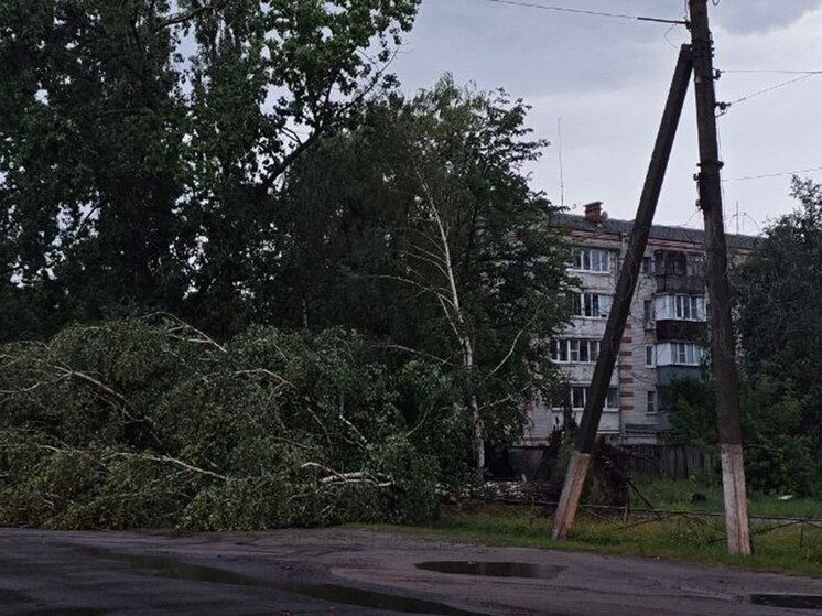 В Курской области десятки населенных пунктов остались без света