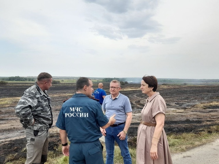 Глава Белгородского района сообщила о пожаре из-за детонации БПЛА