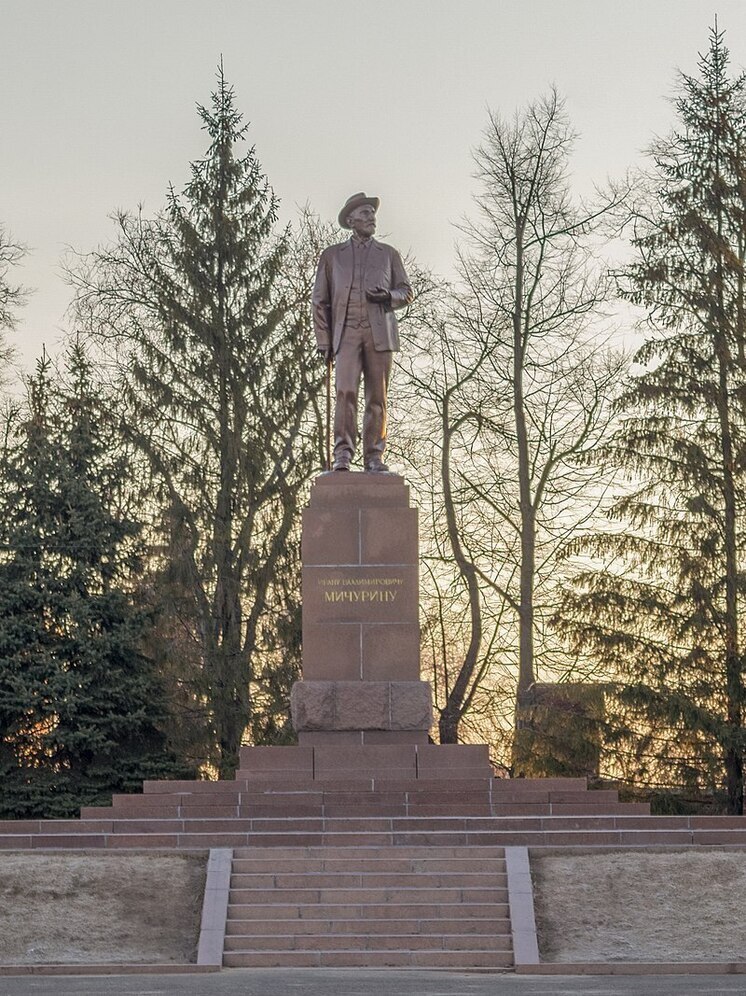 В России отреагировали на намерение «активистов» снести памятник Мичурину в Одессе