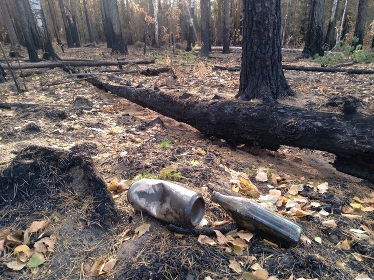 В Свердловской области площадь лесных пожаров увеличилась с 1 до 21 га
