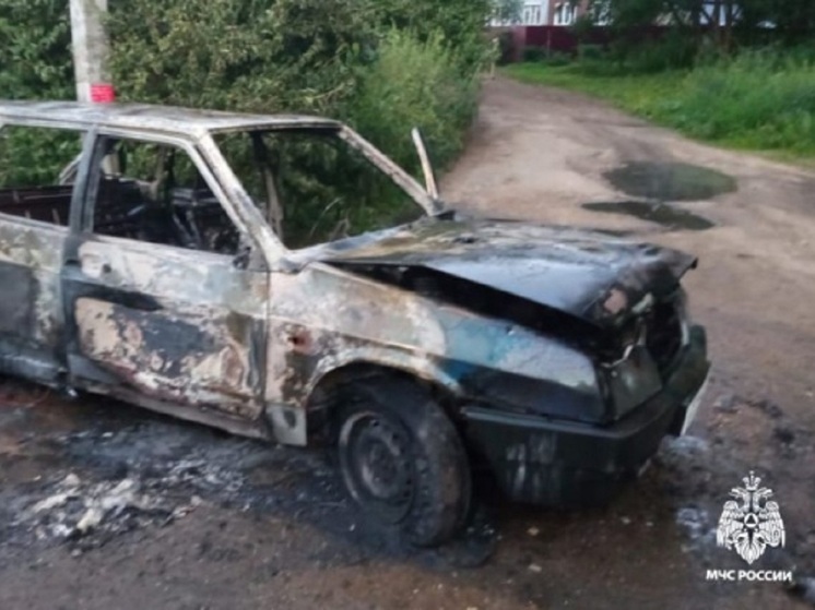 Костромские пожары: на улице Красная Маёвка сгорел автомобиль