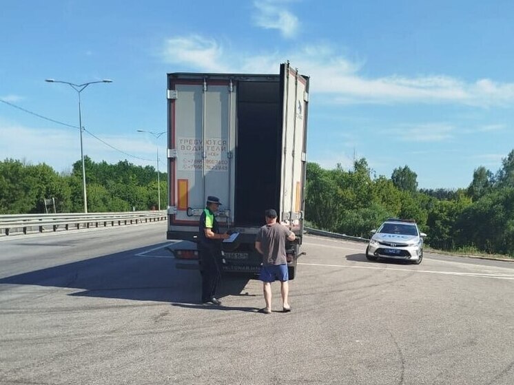 В Липецкой области досматривают грузовики в массовом порядке