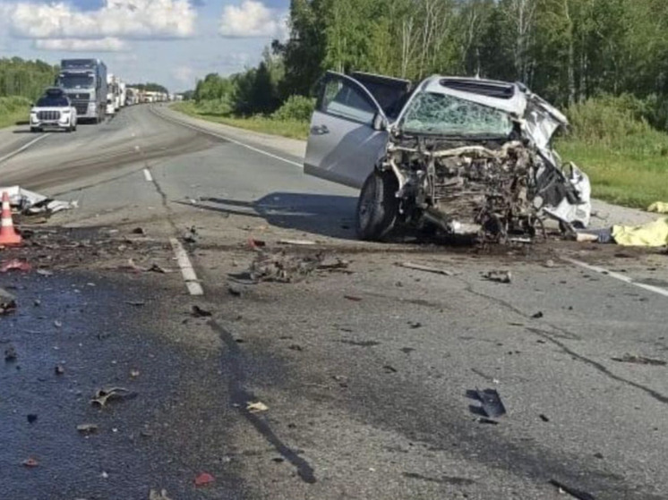 Смертельное ДТП с грузовиком произошло в Новосибирской области
