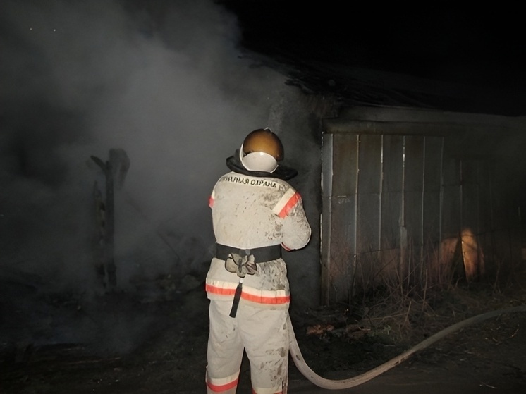 Пожар в Петропавловском районе Воронежской области повредил постройку